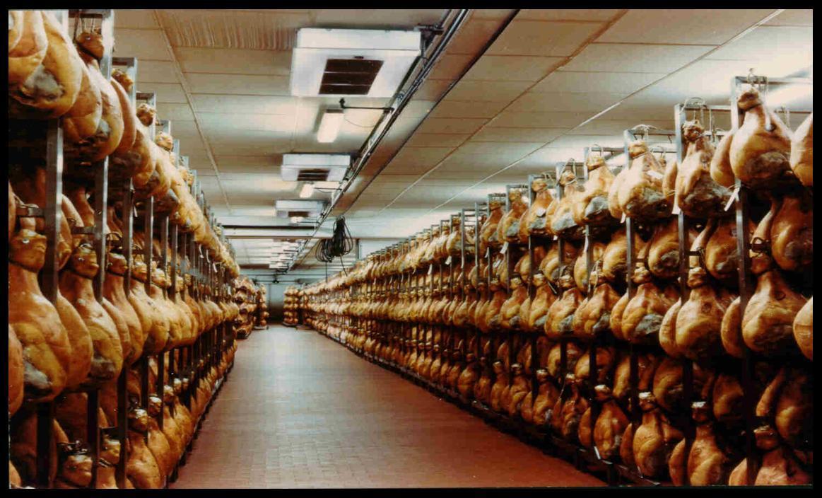 HAM SEASONING ROOM - Parma - Italy